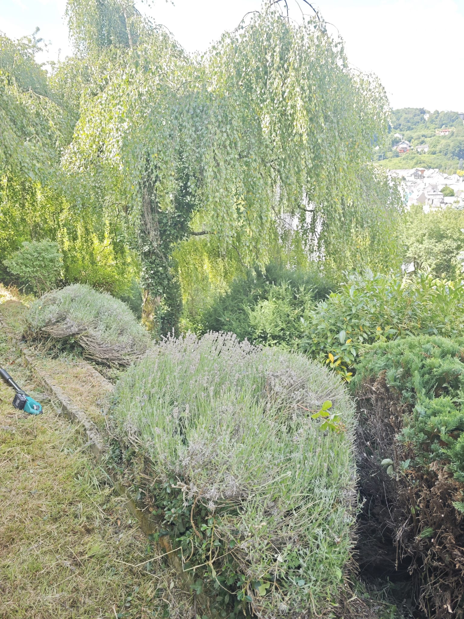 Bepflanzung und Gartengestaltung